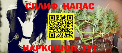 стаф Бугуруслан