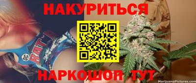сатива Бузулук